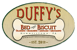 Duffy’s Bed and Biscuit, LLC